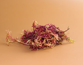 Purple Moss