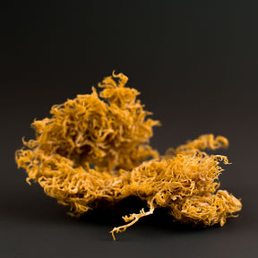 Golden Moss